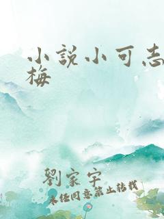 小说小可志强阿梅