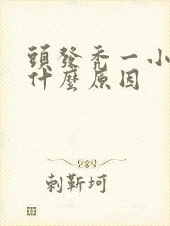 头发秃一小块是什么原因