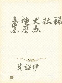 泰迪犬拉稀拉血怎么办