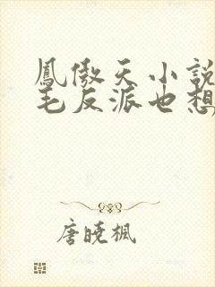 凤傲天小说里黄毛反派也想要幸福