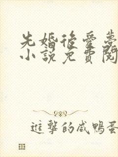 先婚后爱梦筱二小说免费阅读