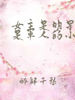 女主是明星男主是军人的小说