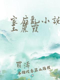 家庭乱小说熟妇王丽霞