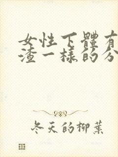 女性下体有豆腐渣一样的分泌物