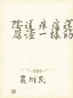 阴道痒痛还有豆腐渣一样的东西