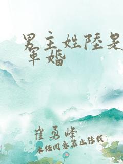 男主姓陆是首长 军婚