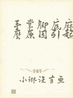 手掌脚底麻是什么原因引起的