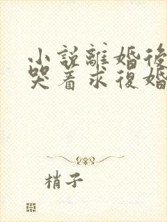 小说离婚后前夫哭着求复婚在线阅读