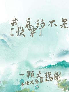 我真的不是渣攻[快穿]