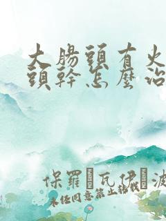 大肠头有火大便头干怎么治疗