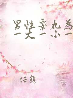 男性睾丸为什么一大一小一高一低