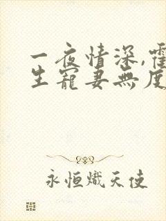 一夜情深,霍先生宠妻无度小说全部章节