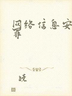 网络信息安全犯罪