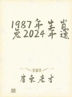 1987年生肖兔2024年运势及运程