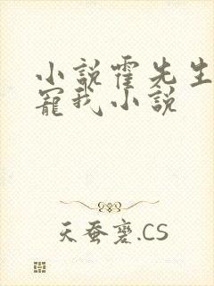 小说霍先生乖乖宠我小说