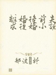 离婚后前夫哭着求复婚小说全文免费