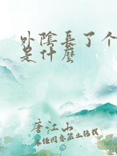 外阴长了个硬包是什么