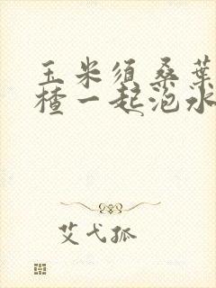 玉米须桑叶和山楂一起泡水喝功效