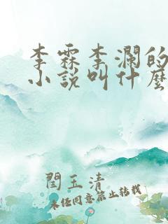 李霖李澜的官场小说叫什么