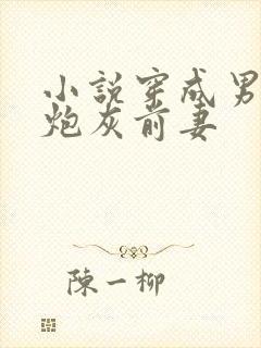 小说穿成男主的炮灰前妻