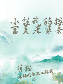 小说我的总裁白富美老婆秦宇全文免费