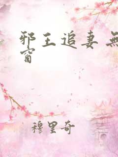 邪王追妻 无弹窗