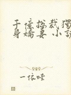 千亿总裁独宠替身娇妻 小说完整