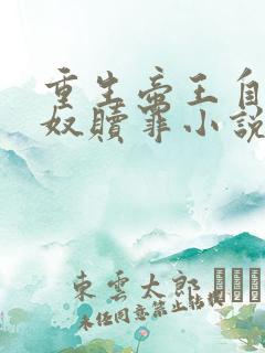 重生帝王自罚下奴赎罪小说