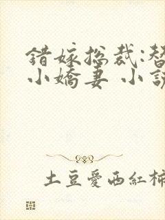 错嫁总裁:替身小娇妻 小说