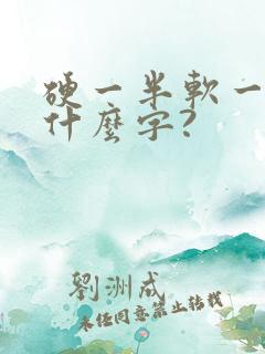 硬一半软一半是什么字?