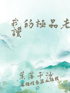 我的极品老婆阅读