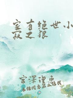 家有绝世小姨孤寂之狼