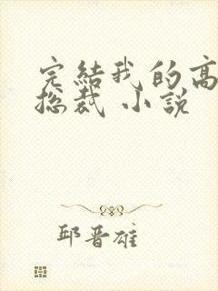 完结我的高冷女总裁 小说