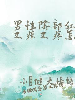 男性阴部红疙瘩又痒又疼怎么回事