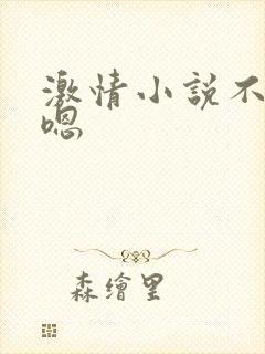 激情小说不要哦嗯