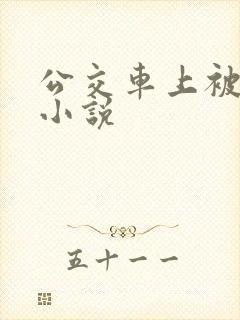 公交车上被强暴小说