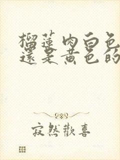 榴莲肉白色的好还是黄色的好