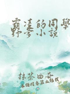 霸凌的同学成了野爹小说