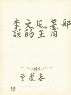 李文风是哪本小说的主角