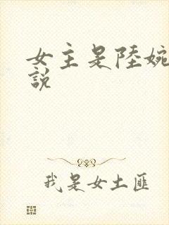 女主是陆婉的小说