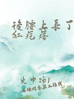 后腰上长了一片红疙瘩