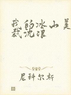 我的冰山美女总裁沈浪