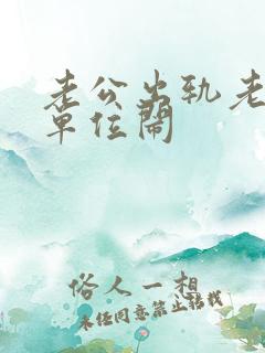 老公出轨老婆去单位闹