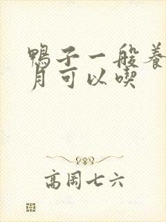 鸭子一般养几个月可以吃