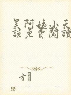 吴阿姨小天的小说免费阅读