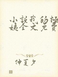 小说我的极品小姨全文免费阅读