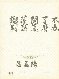 榴莲开了不是特别熟怎么办