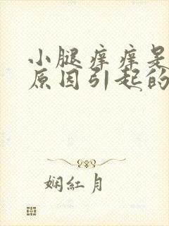 小腿痒痒是什么原因引起的