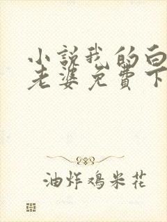 小说我的白富美老婆免费下载