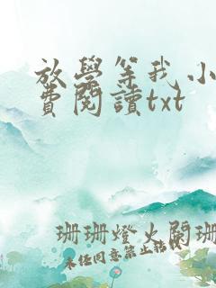 放学等我小说免费阅读txt